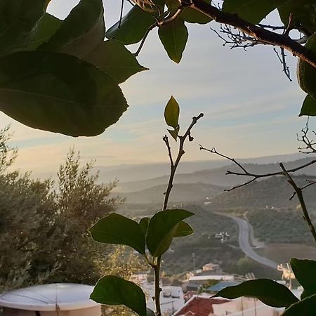 Mirador Del Olivar Olvera Exteriör bild