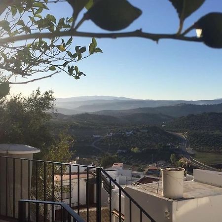 Mirador Del Olivar Olvera Exteriör bild