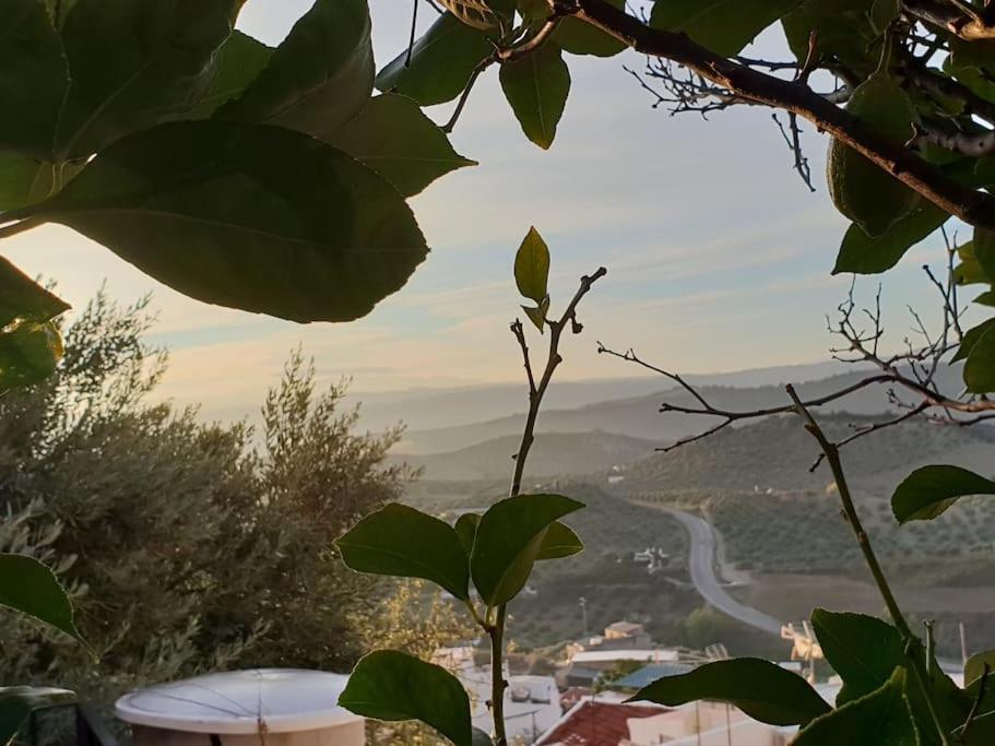 Mirador Del Olivar Olvera Exteriör bild