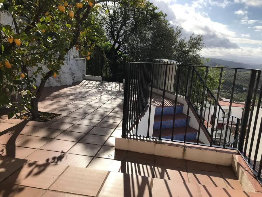 Mirador Del Olivar Olvera Exteriör bild