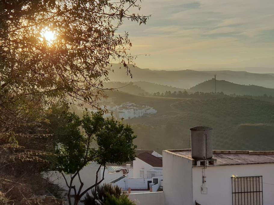 Mirador Del Olivar Olvera Exteriör bild
